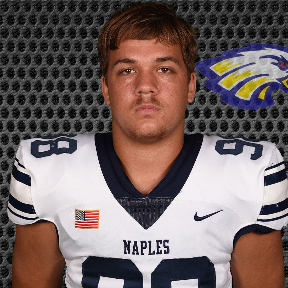 Dariece Collins mugshot