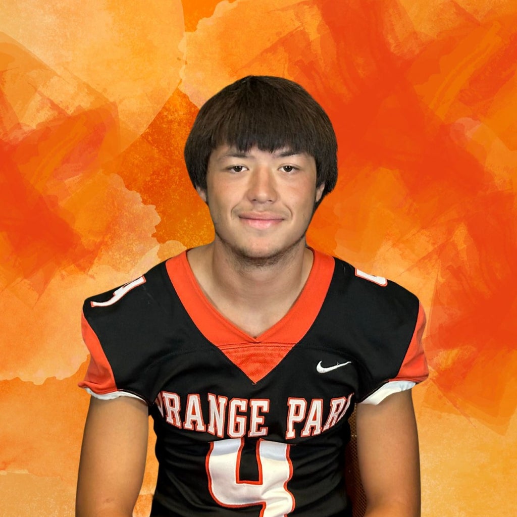 Brock Aflleje mugshot