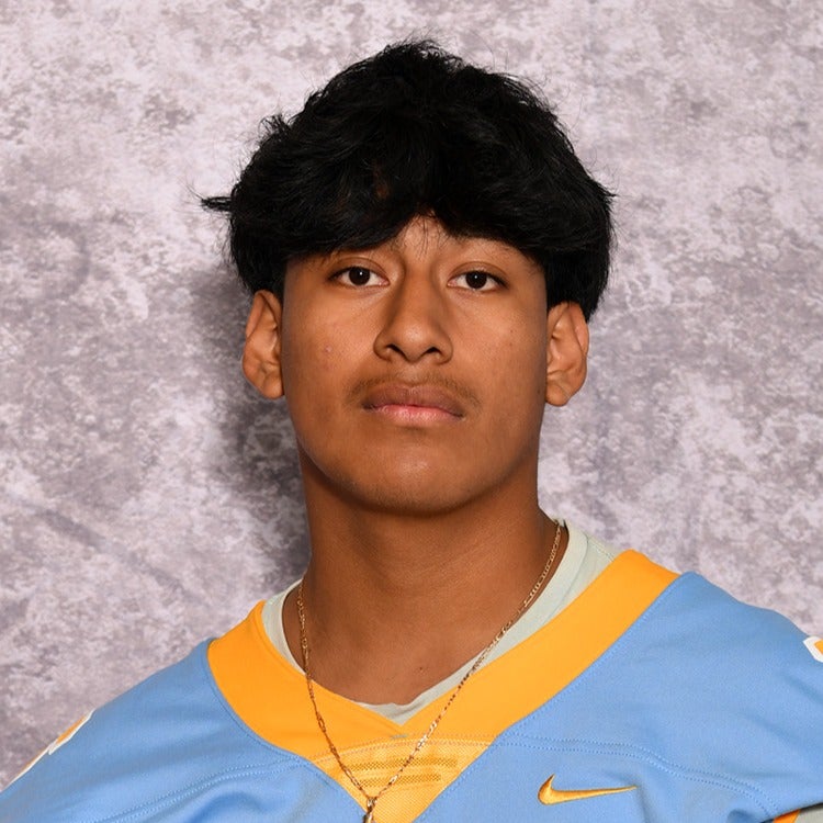 Anderson Puac mugshot