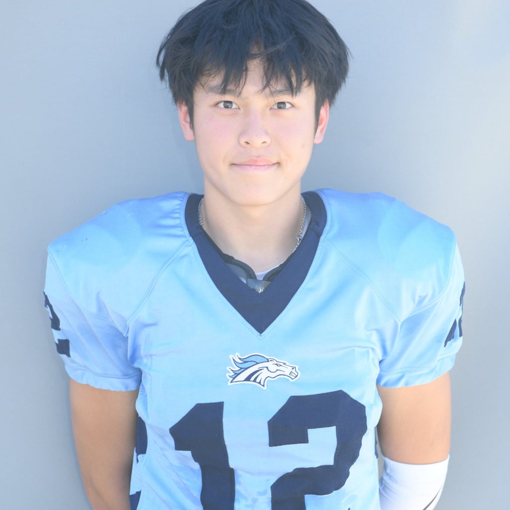 Jc Chen mugshot