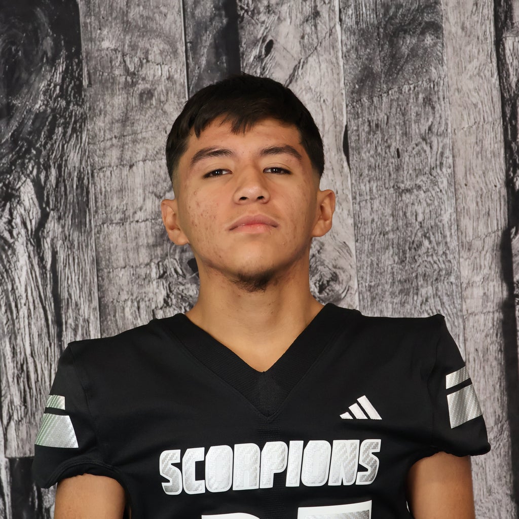 Saul Cedillo mugshot