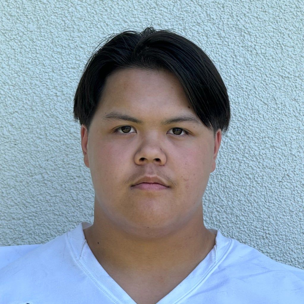 Ayden Vo mugshot