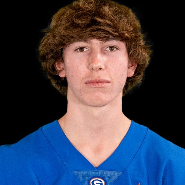 Hudson Borsari mugshot