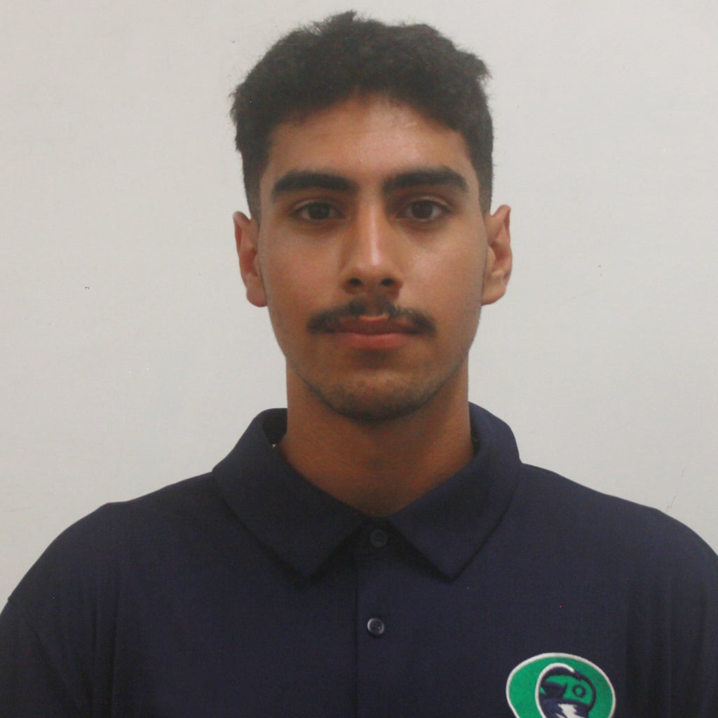Asal Salman mugshot