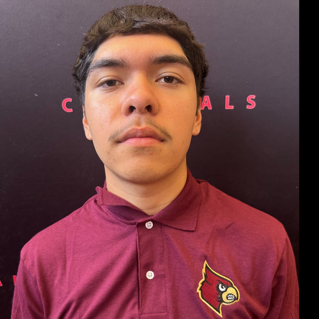 Diego Ornelas mugshot