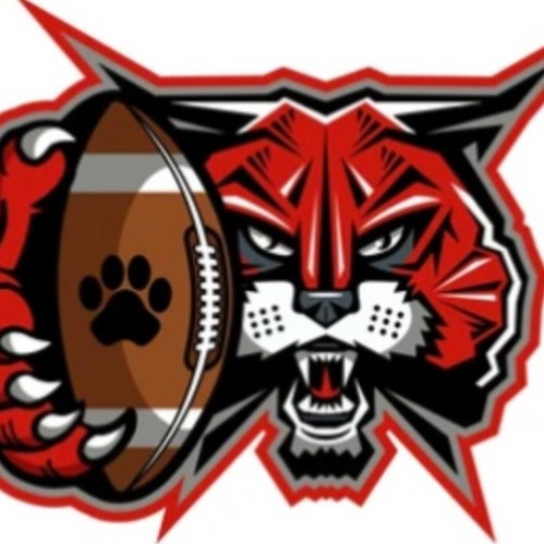 Damian Molina mugshot