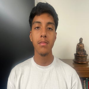 Bairon Ortega mugshot