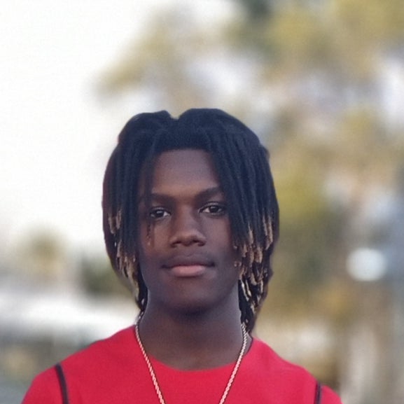 Michael Mclaurin mugshot