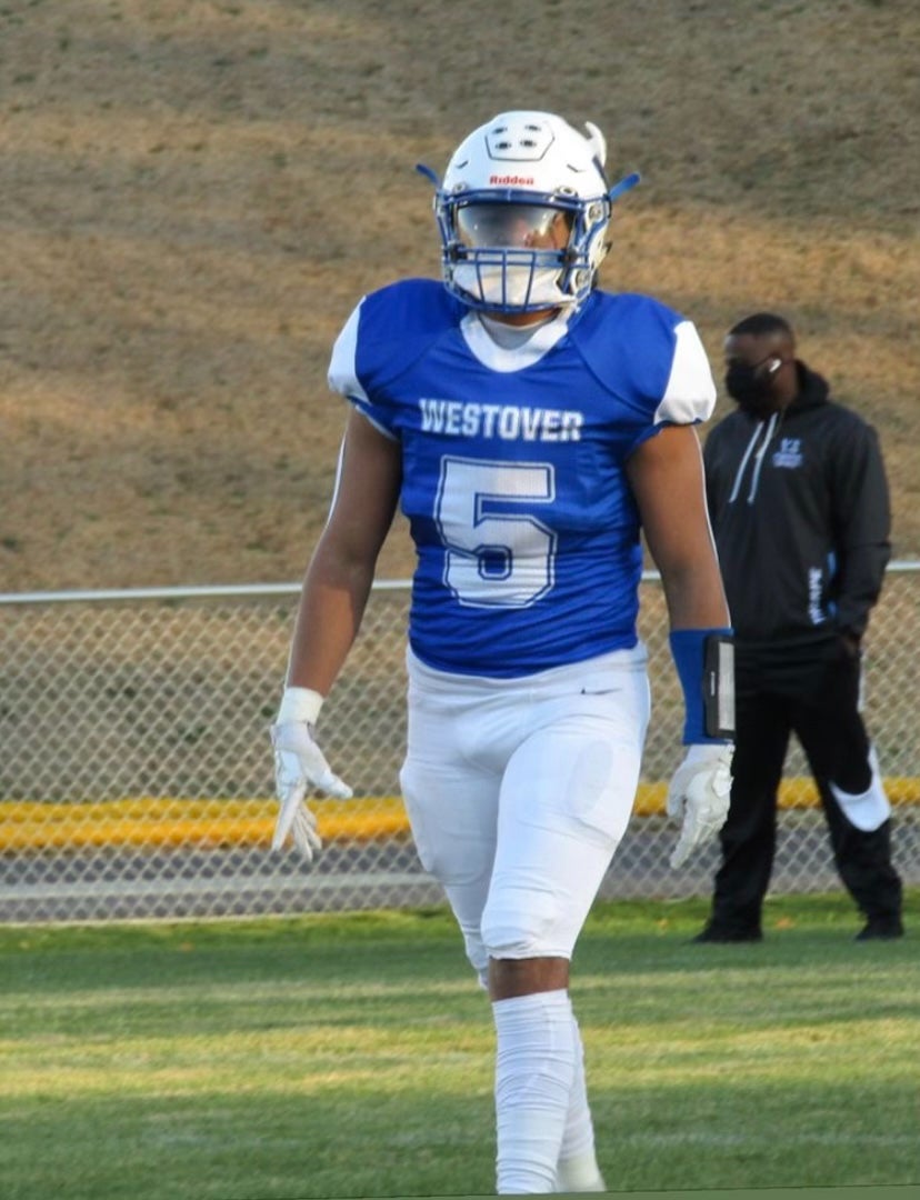 Jamari Stallion