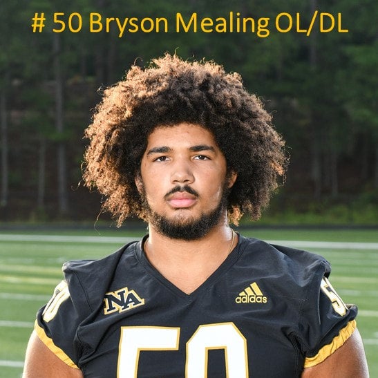 Bryson Mealing mugshot