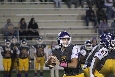 Will Mattison
