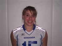 S. Raichlin