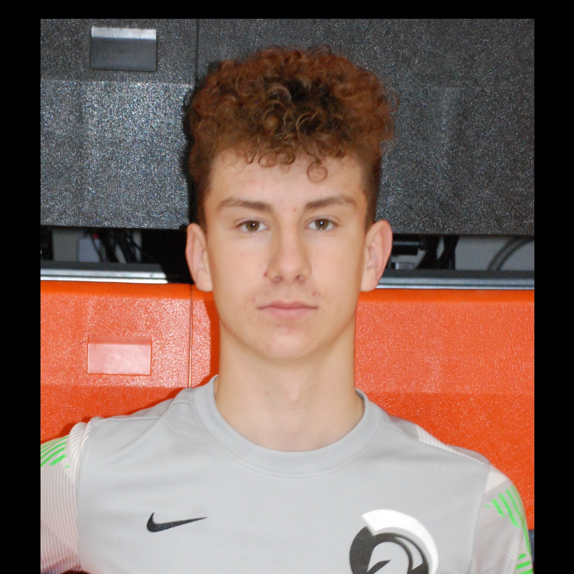 Nemanja Saran mugshot