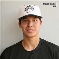 Steven Baron mugshot