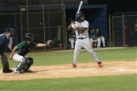 Kenneth Hollins