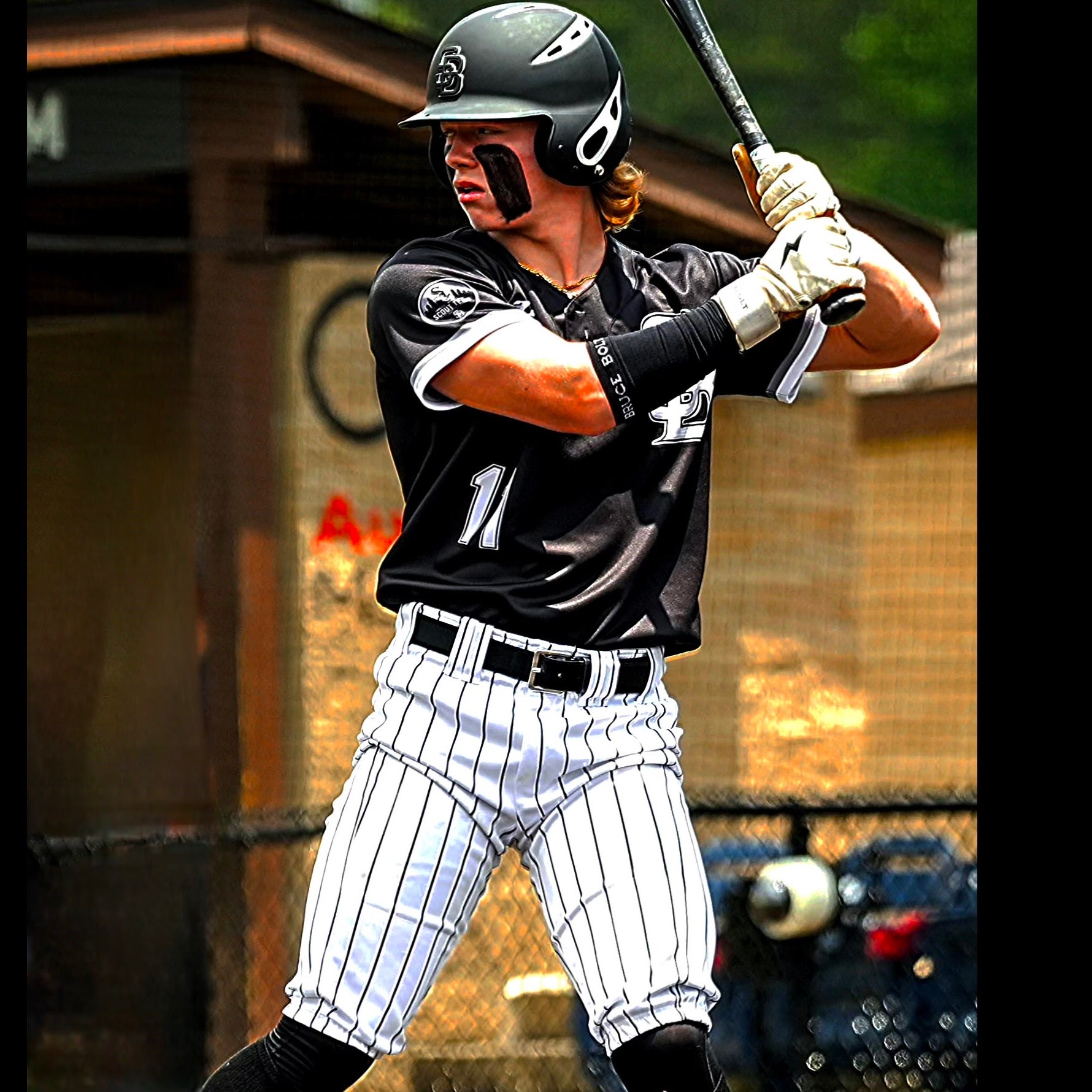 Ripken Birdwell mugshot