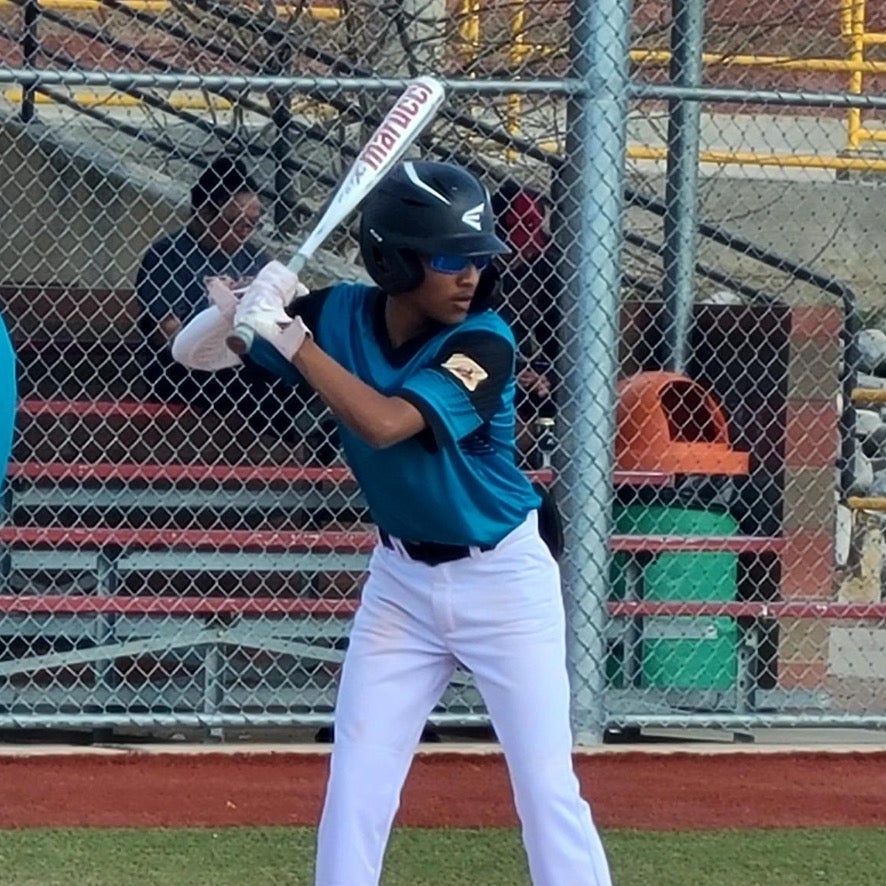 Tayshaun Brown mugshot