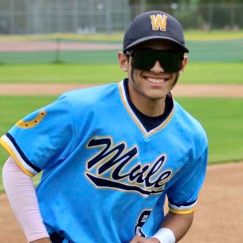 Sammy Salcedo mugshot