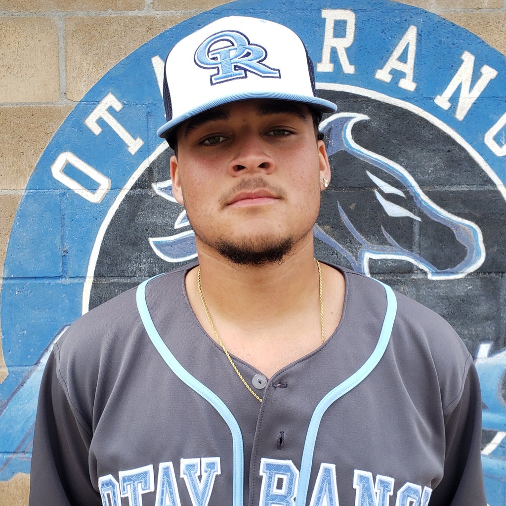 ANTHONY  LAVINE mugshot