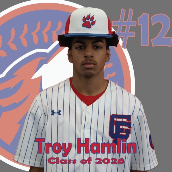 Troy Hamlin mugshot