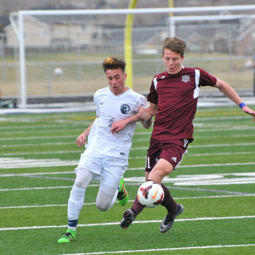 Chase Knubel