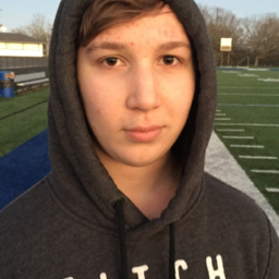 Tanner Hamilton mugshot