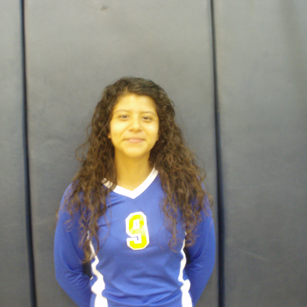 Lizbet Raya mugshot