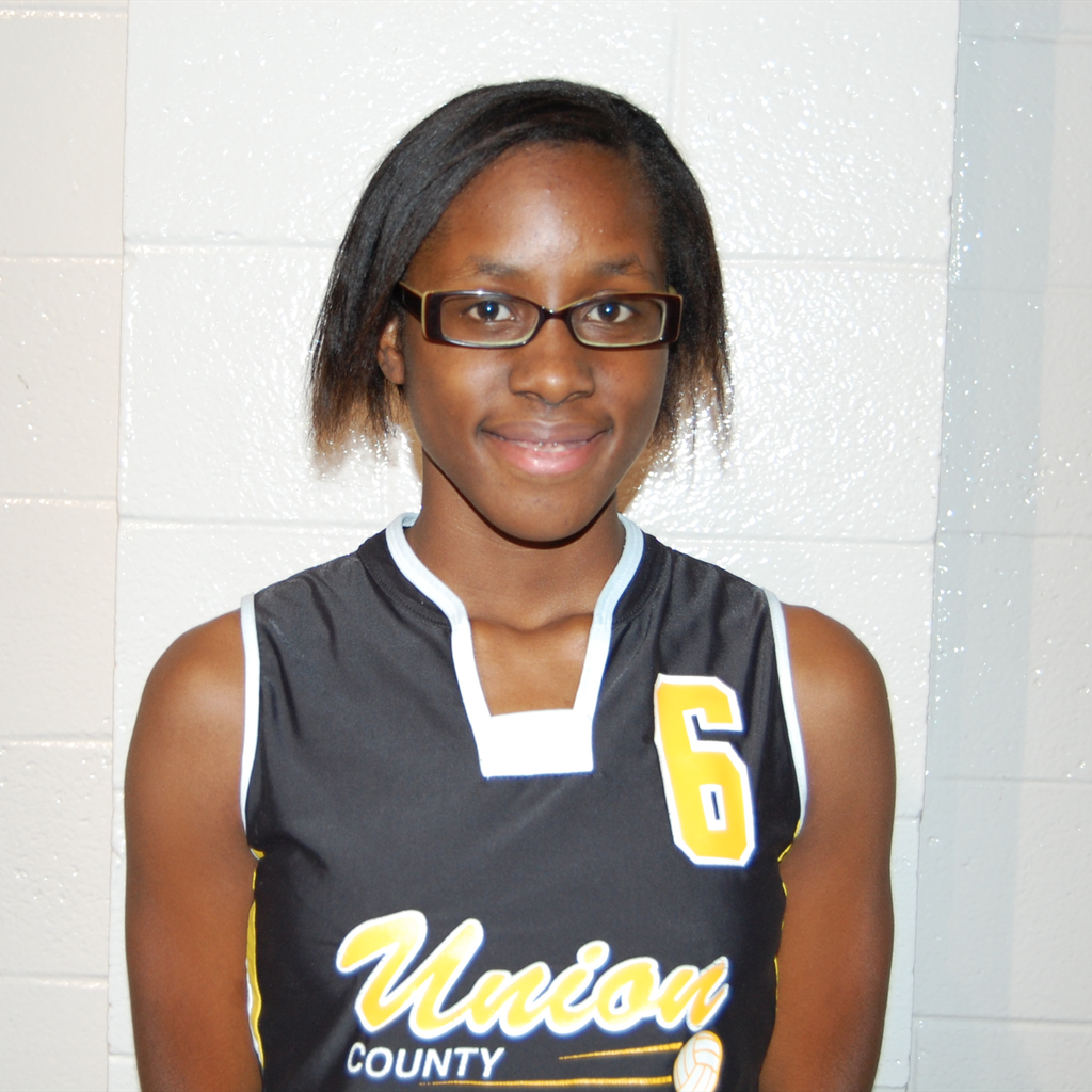 Demisha  Norman mugshot