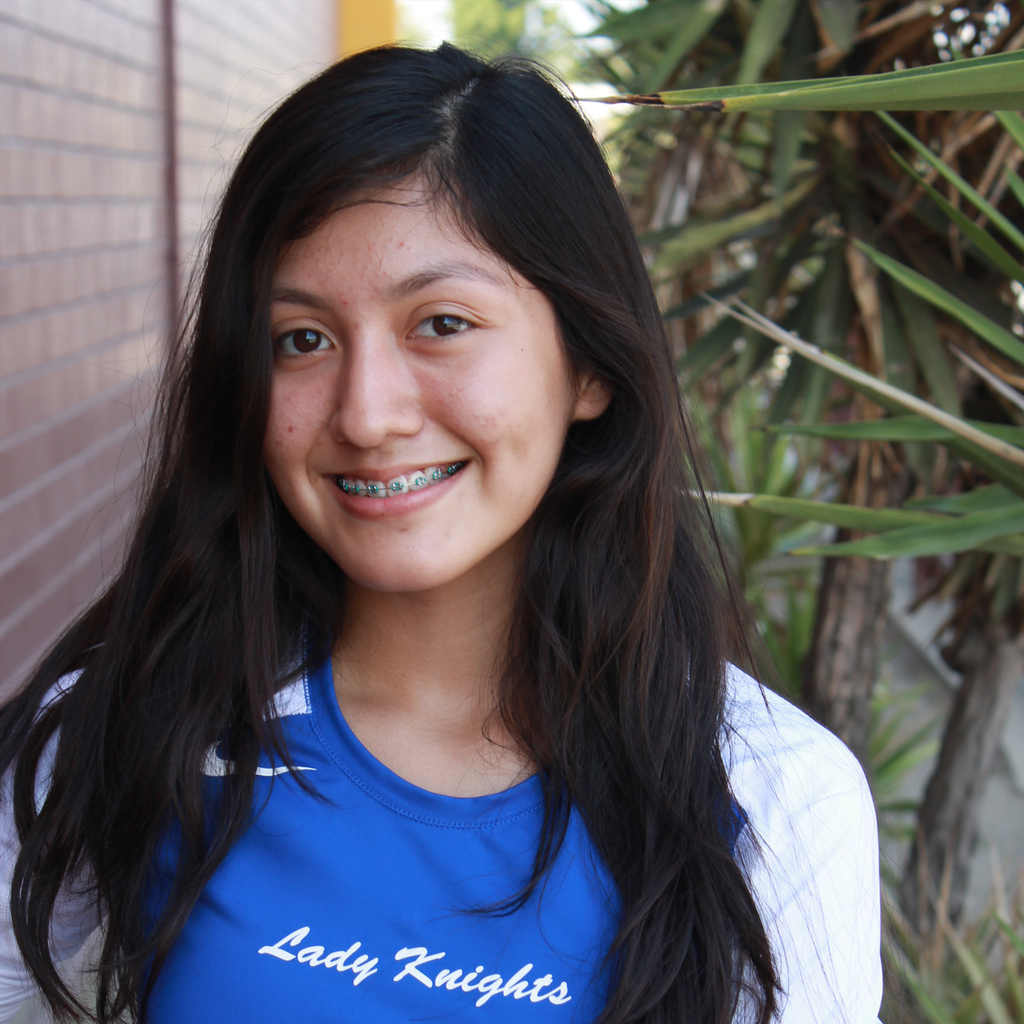Clarissa  Galvan  mugshot