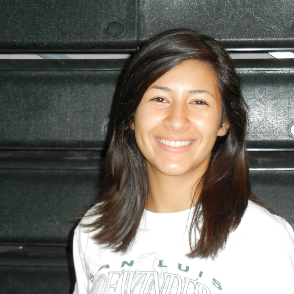 Auri Diaz mugshot