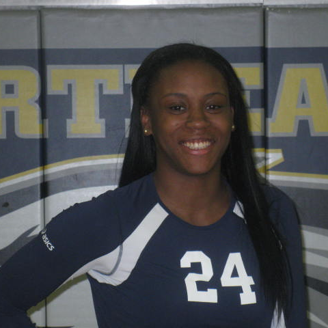 Desiree Wilks mugshot