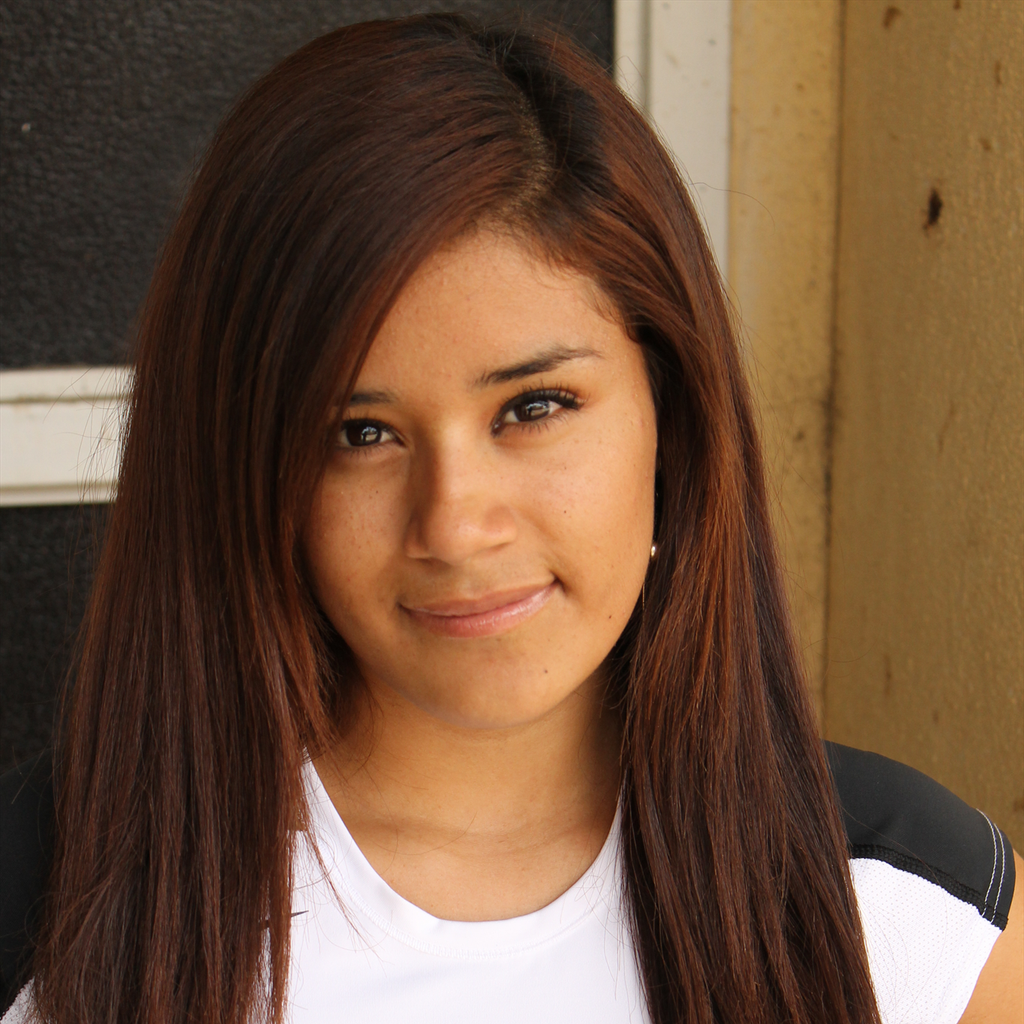 Diana  Castillo mugshot