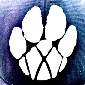 Jameson Calfee mugshot