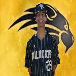 Luis Isturiz mugshot