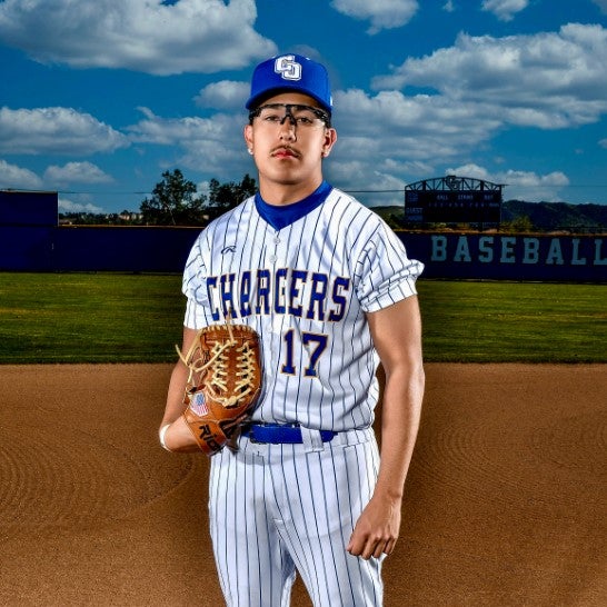 Brian Aceves mugshot