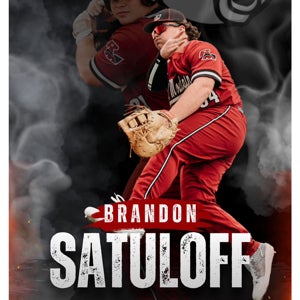 Brandon Satuloff mugshot