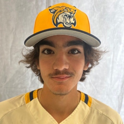 Matthew Brollini mugshot