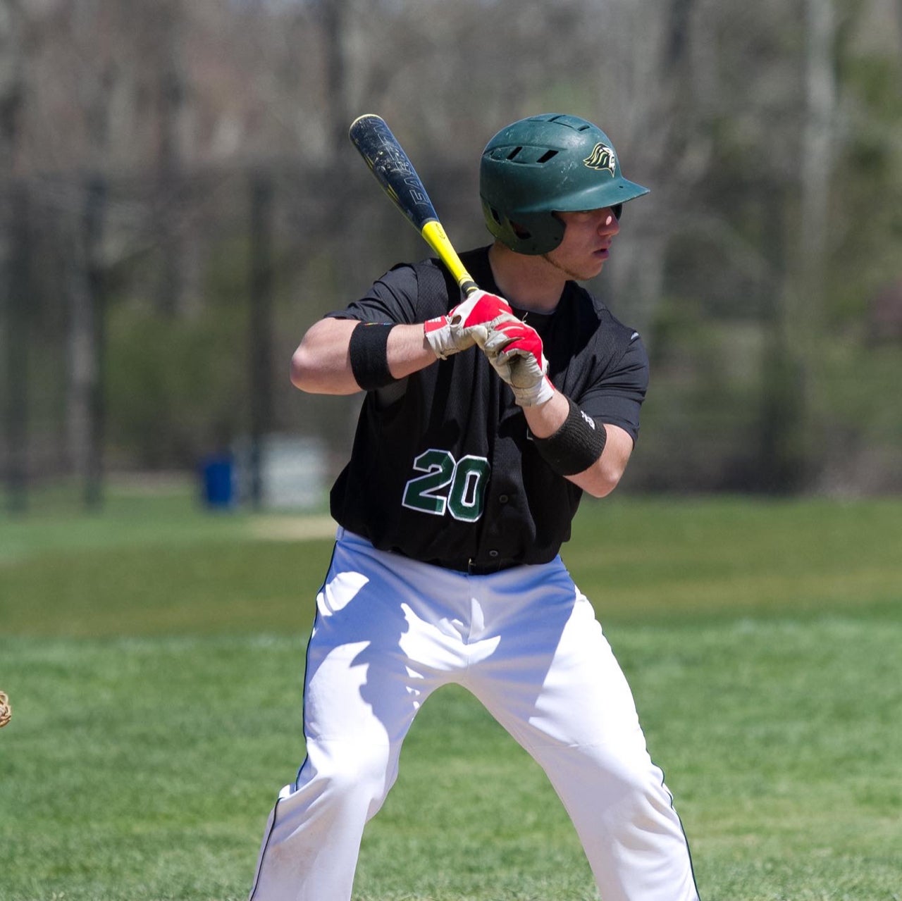 JAKE MELE