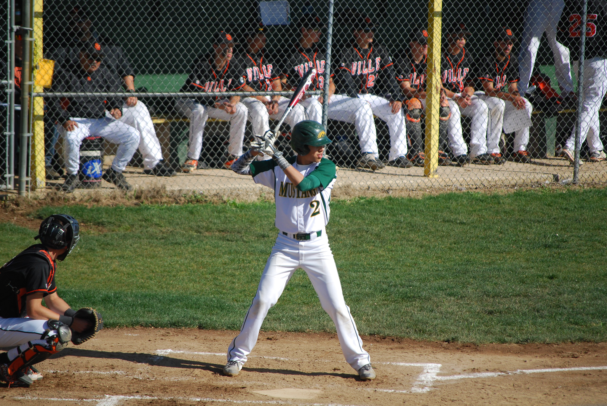 D. Speer