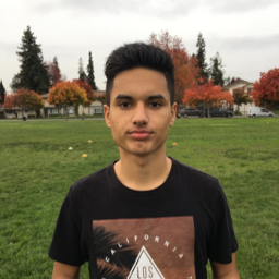 Bilal Safi mugshot