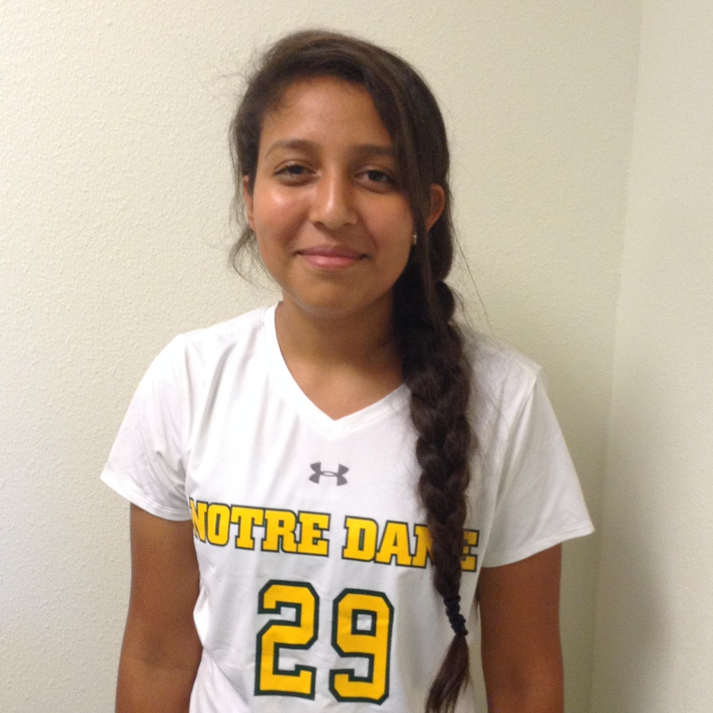 Lyzbeth Berrios mugshot