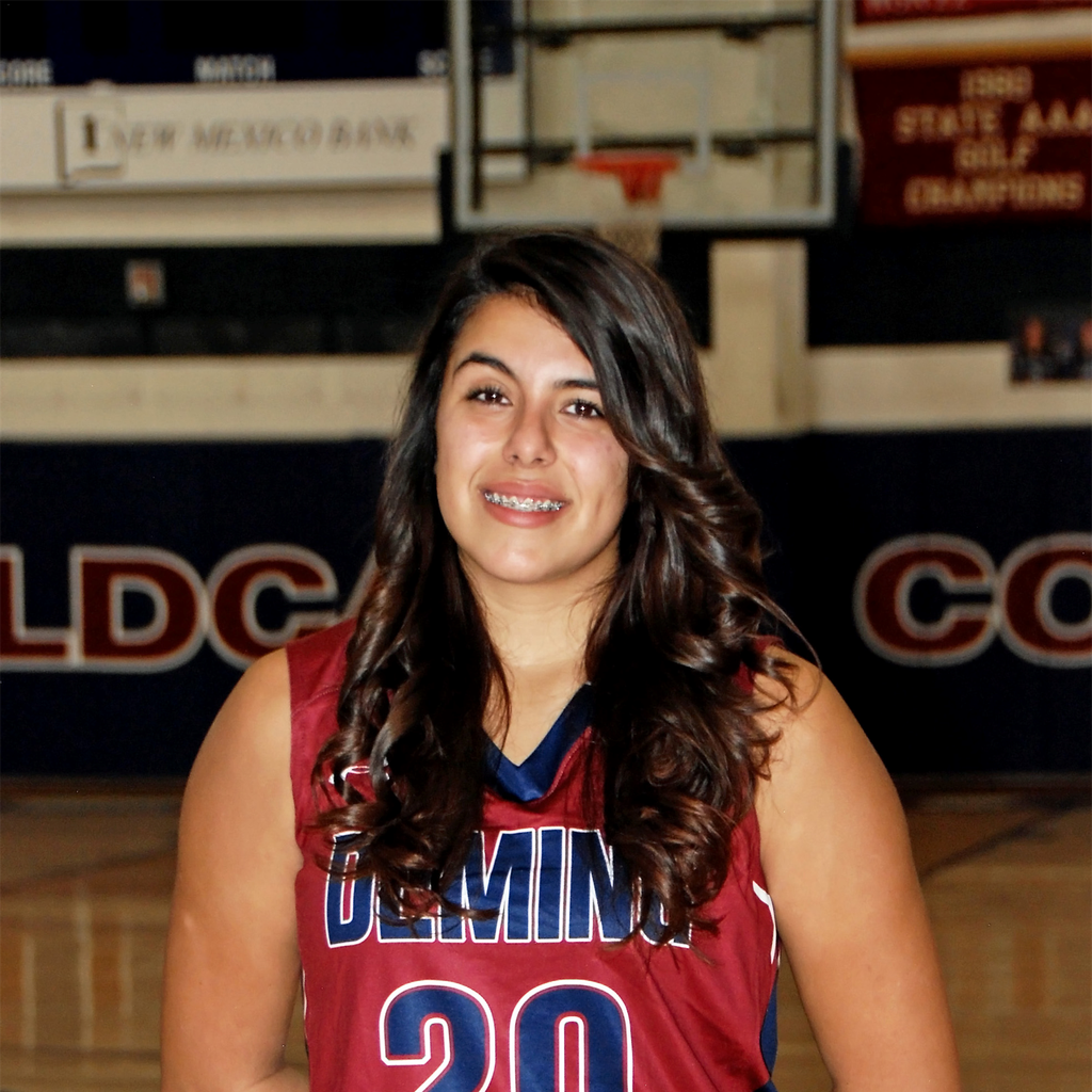 Liz Perez mugshot