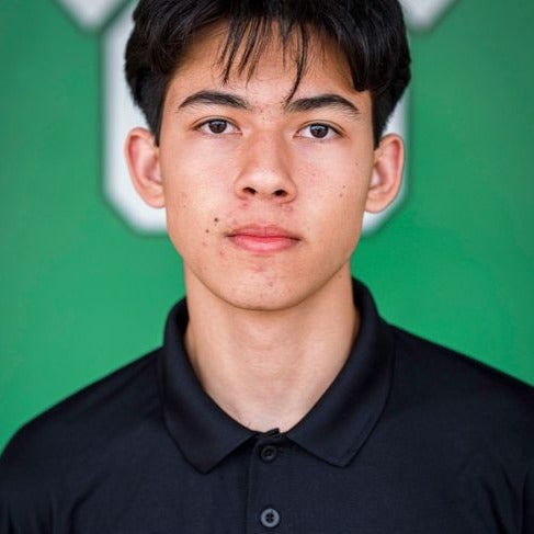 Lucas Georgescu mugshot