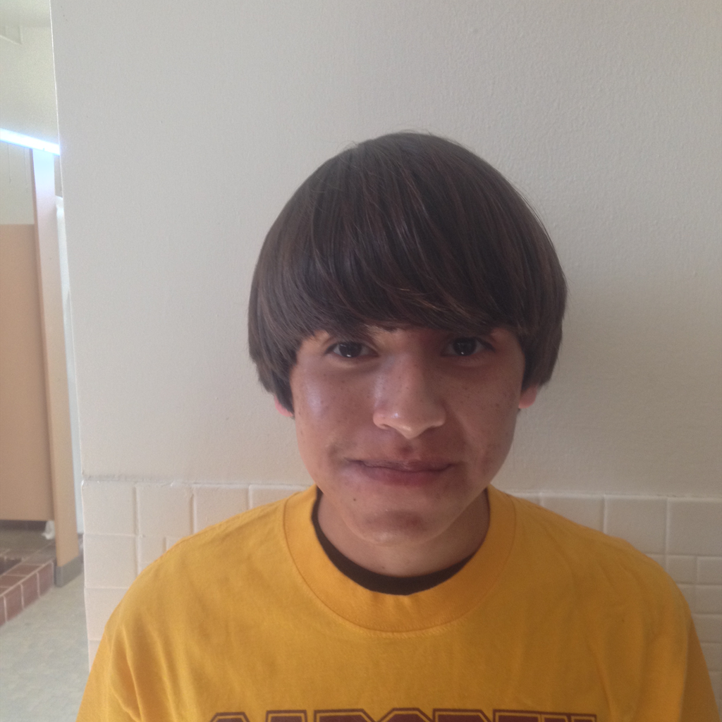 Gabriel Silva mugshot
