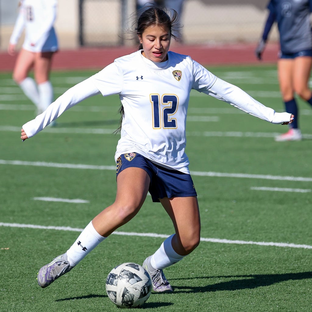 Gabriela Aviles mugshot