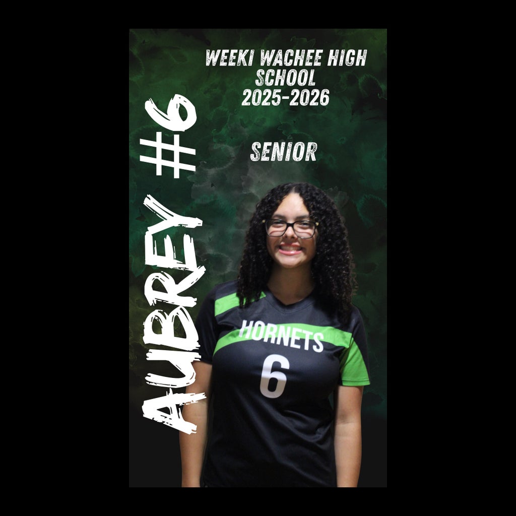 Aubrey Ahrens mugshot