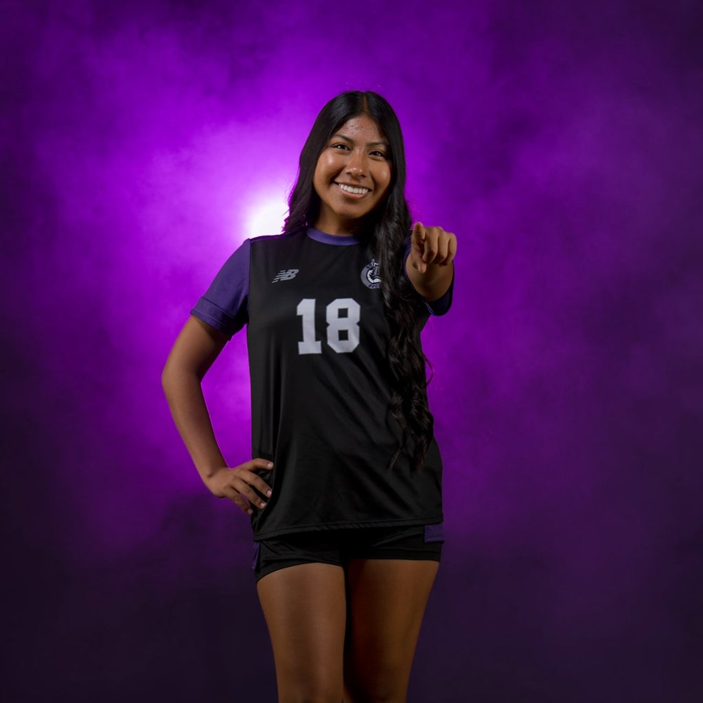 Araceli De Jesus mugshot