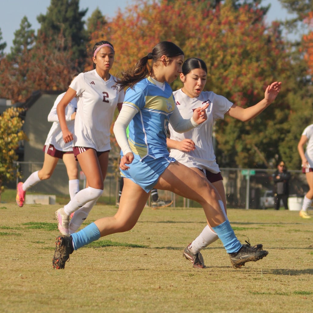 Adriana Avilez mugshot