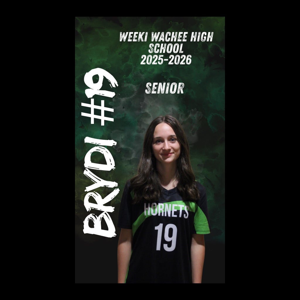 Brydi Mcgirr mugshot