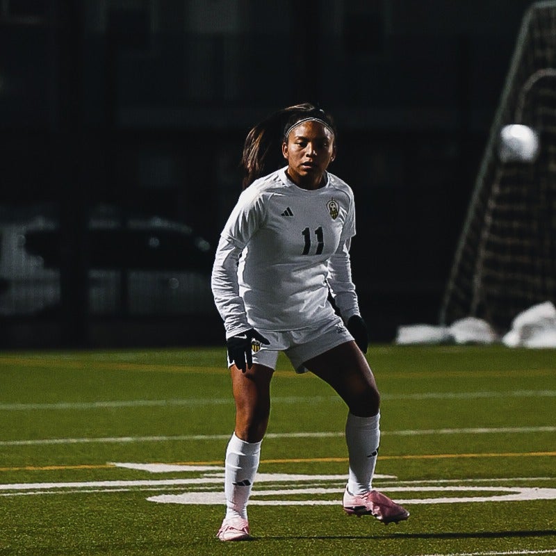 Ana Chitic Canil mugshot